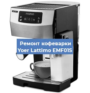Декальцинация кофемашины Yoer Lattimo EMF01S в Белгороде